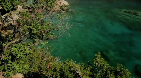 A crane shot over a green tree to Loutro village at South Crete Stock Footage 10857175