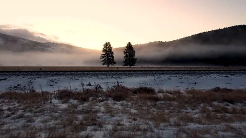 Crane shot over two trees standing in a snow covered pasture with a fog shrou Stock Footage 124713939