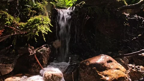 Crane shot of small clear mountain waterfall water in forest, Jura, France Stock Footage 265961899
