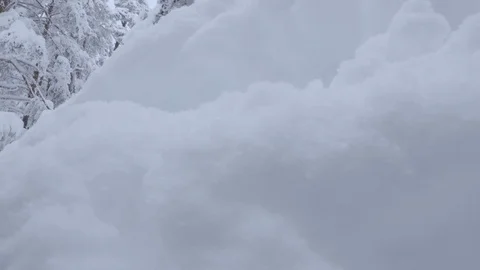 Crane shot from snow to winter forest Stock Footage 86219419