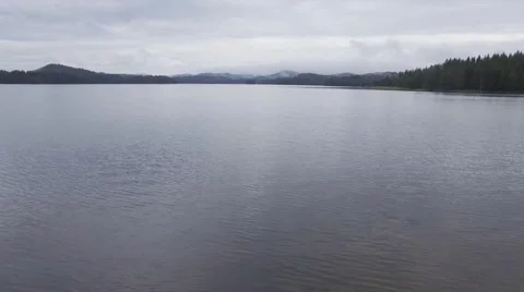CRANE SHOT FROM WATER TO OVER TREE. Stock-Footage 65325663