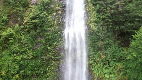 Crane shot of a waterfall and trees Stock-Footage 332032054