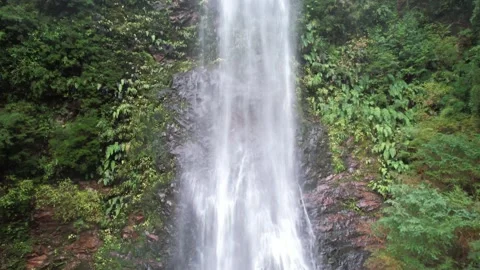 Crane shot of a waterfall and trees Stock-Footage 332032506