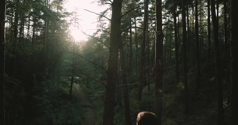 Crane shot young boy looking into forest valley Stock Footage 116109228