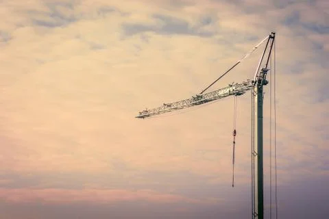 Crane in the sunrise Stock Photos