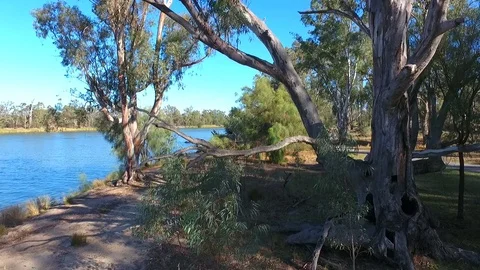 Crane up through trees to Paddle Steamer Stock Footage 71289907
