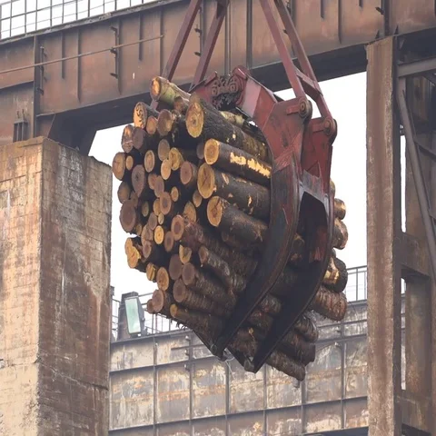 Crane timber processing Vídeo Stock 69544678