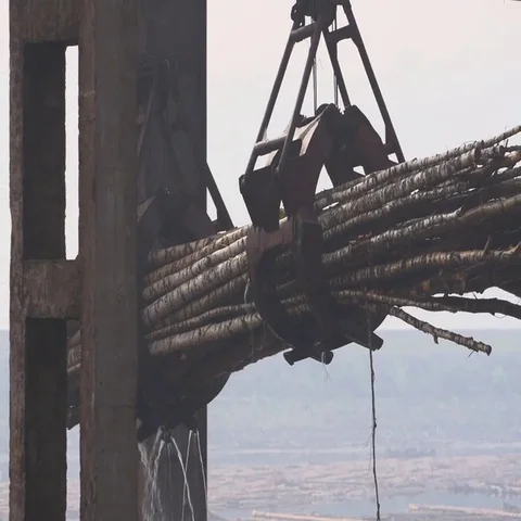 Crane timber processing Stock-Footage 69545135