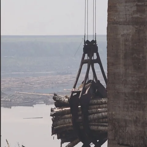 Crane timber processing Vídeos de archivo 69545257