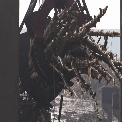 Crane timber processing Stock Footage 69545344