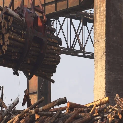 Crane timber processing Stock Footage 69545558