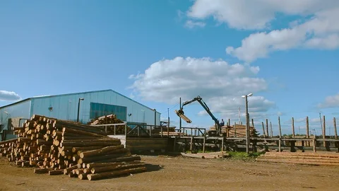 Crane unloads logs on the sorting line. Automated log sorting at a sawmill. Wide Stock Footage 129237196