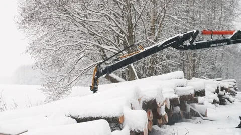 A crane in a winter forest lifts two logs at once at a time Stock Footage 169548925