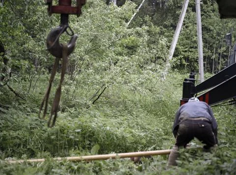 Crane at work Stockfoto's