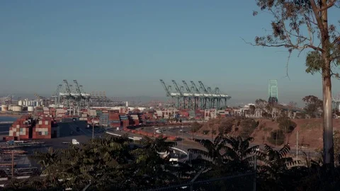Cranes and cargo on Docks Stock Footage 77485298
