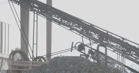 Cranes and platforms to delivery olive Stockbeeldmateriaal 143963929