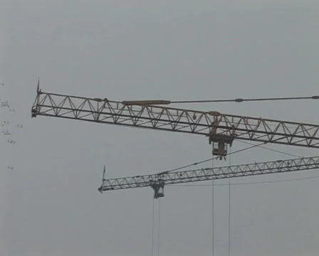 Cranes birds  constructing buildings under pollution Stock Footage 285359