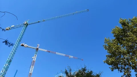 Cranes blue sky and trees. Video stock 94610044