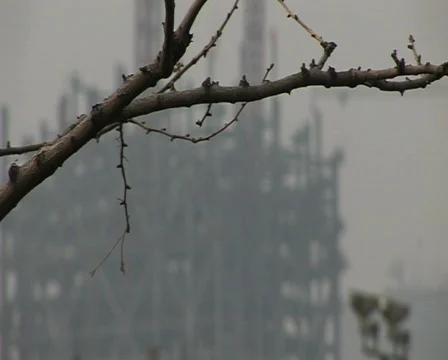Cranes constructing buildings under pollution Stock Footage 337190