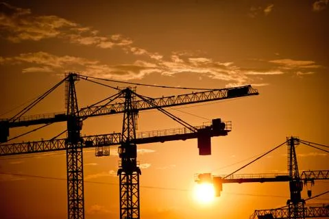 Cranes at dusk Stock Photos
