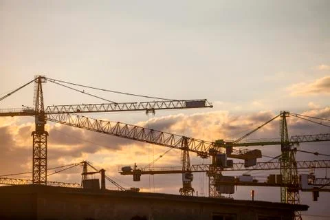 Cranes at dusk Stock Photos