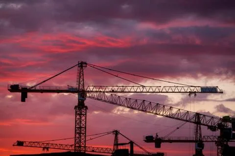 Cranes at dusk Stock Photos