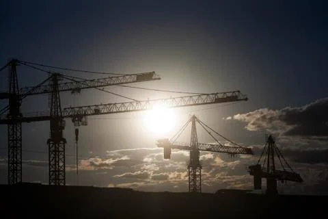 Cranes at dusk Stock Photos