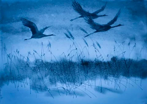 Cranes in flight Illustrazione stock