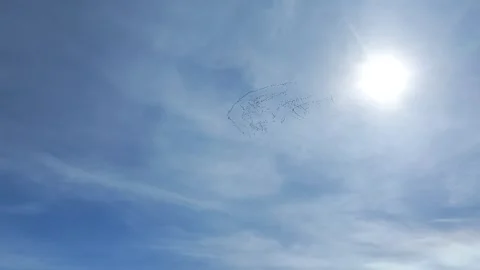 Cranes flying in formation against the light in slow motion 스톡 동영상 306477060
