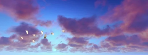 Cranes flying at sunset. Loop Background, 4K 스톡 동영상 246531823