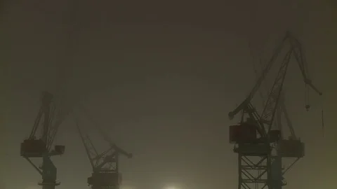 Cranes in fog with pan Video stock 84059248