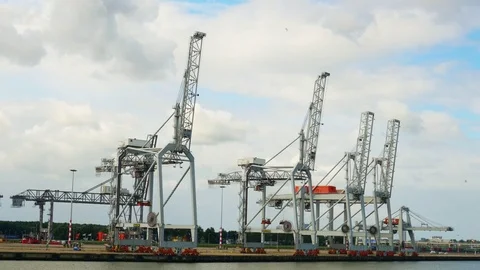 Cranes in the harbour Stock Footage 70014067