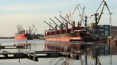 Cranes loading and unloading transprot ships in harbor Stock Footage 10883020