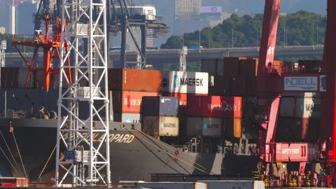 Cranes loading containers at a port Video stock 311668048