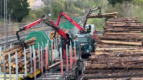 Cranes loading wood into wagons, Bavaria, Germany 5th April 2024 Vidéo 273554625