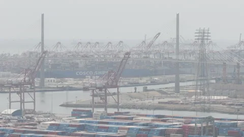 Cranes move about at the Pot of Los angeles Stock Footage 290934486