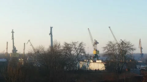 Cranes move in the plant Video stock 58607339