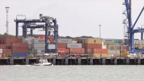Cranes moving containers on quay Stock Footage 91230083