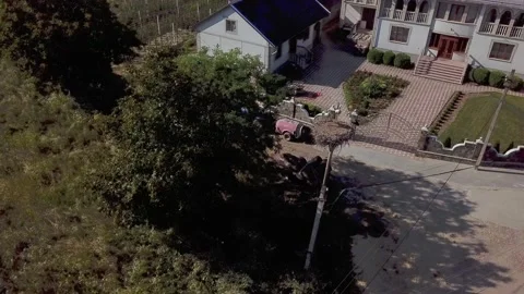 Cranes in the nest Stock Footage 161745957