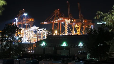 Cranes offloading cargo at night in Port Video stock 96011592