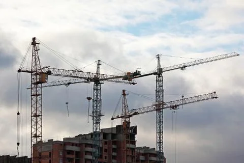 Cranes 스톡 사진