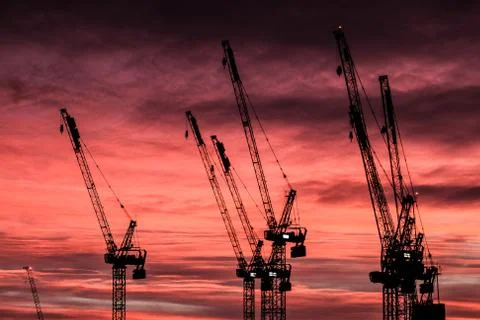 Cranes Foto stock