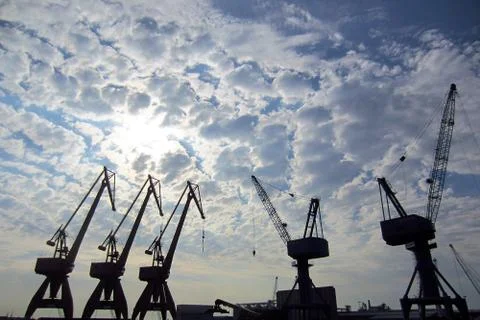 Cranes in a port Stock Photos