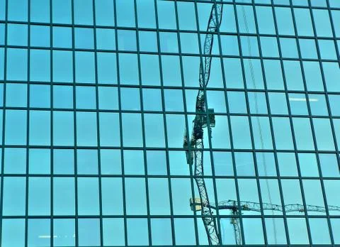 Cranes reflection 스톡 사진