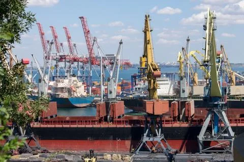 Cranes in seaport. Stock Photos