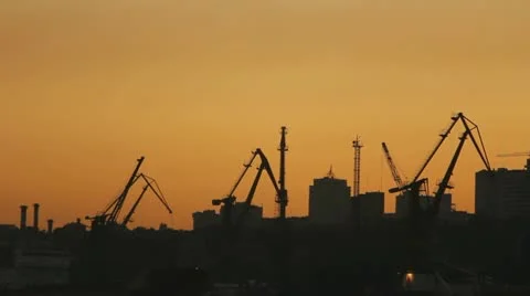 Cranes silhouetes at sunset Stock-Footage 10860611