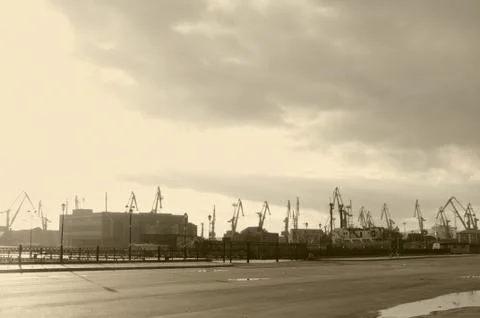 Cranes silhouettes Stock Photos