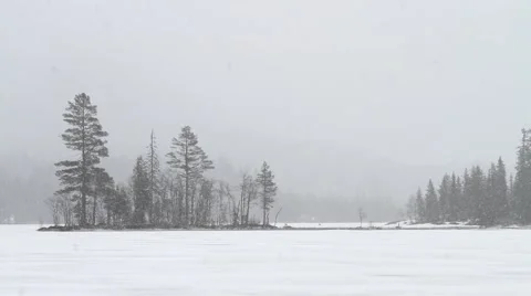 Cranes in snowfall Stock Footage 45418477