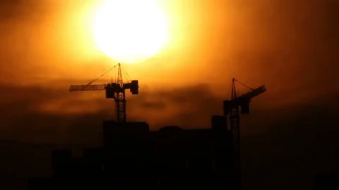 Cranes in sunset fog Stock Footage 74891632