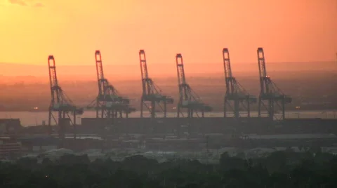 Cranes Sunset Stock-Footage 436225